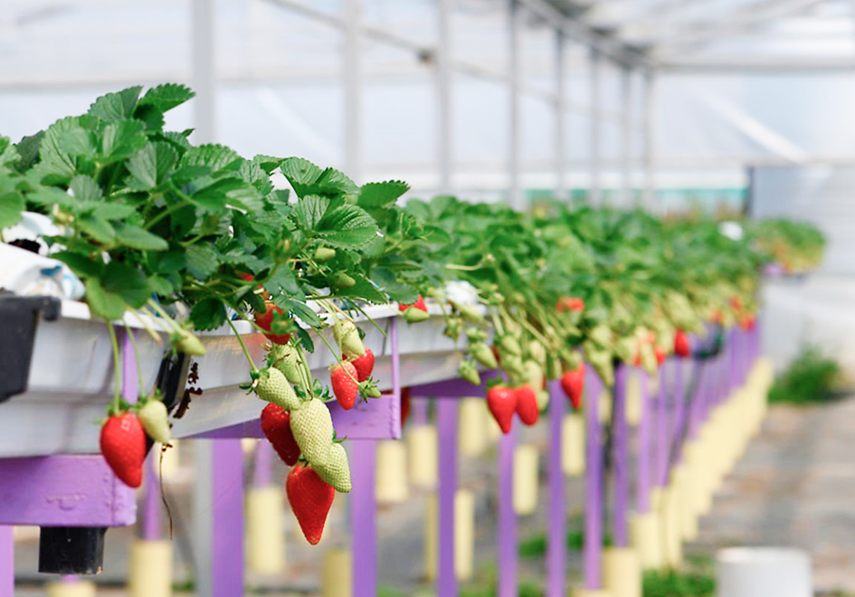 Ecological product logistics